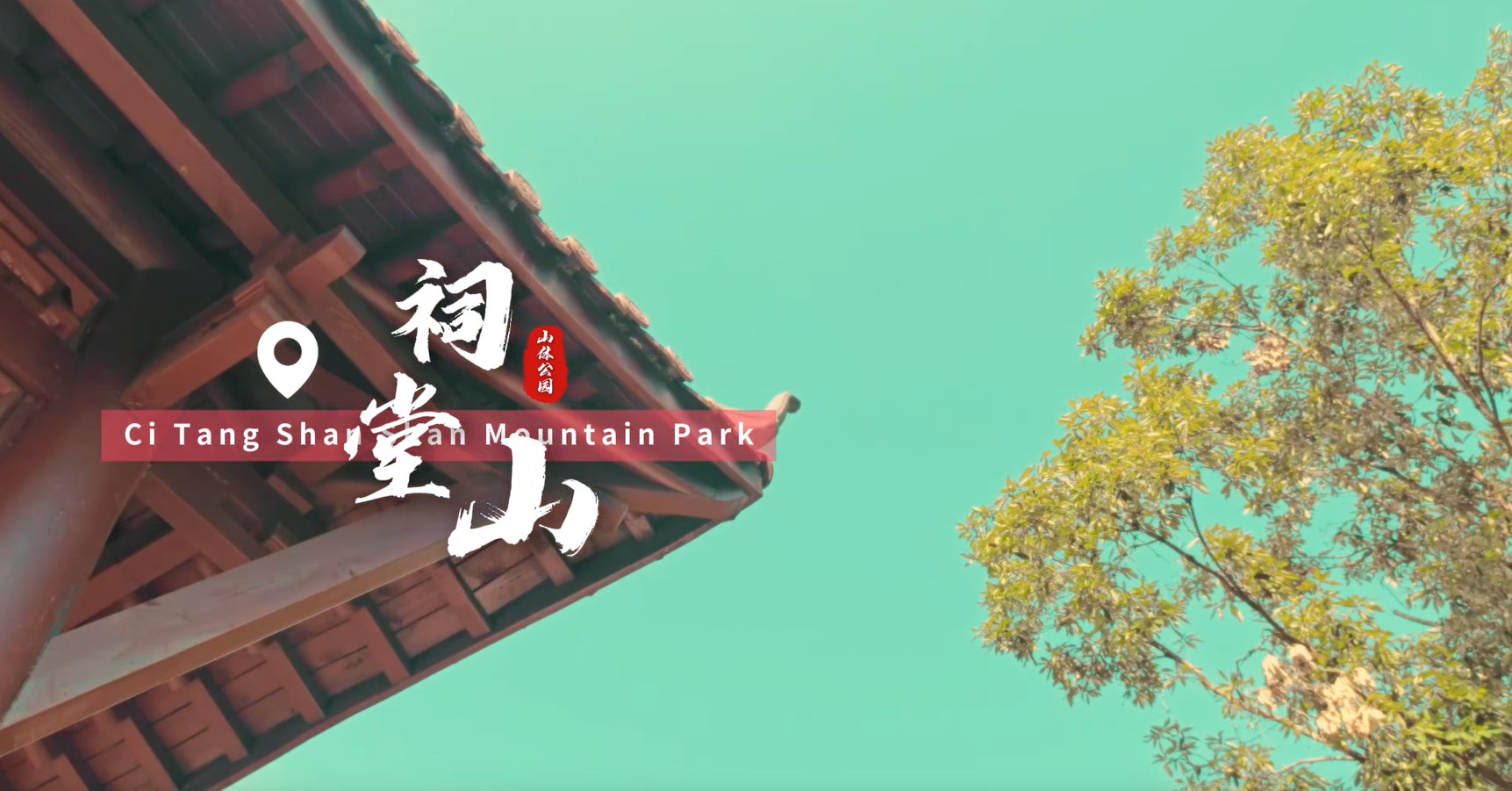 探索自然之美，尽在【汇东生态】山体公园合集